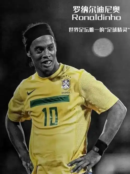 不仅是一种 不仅是一种