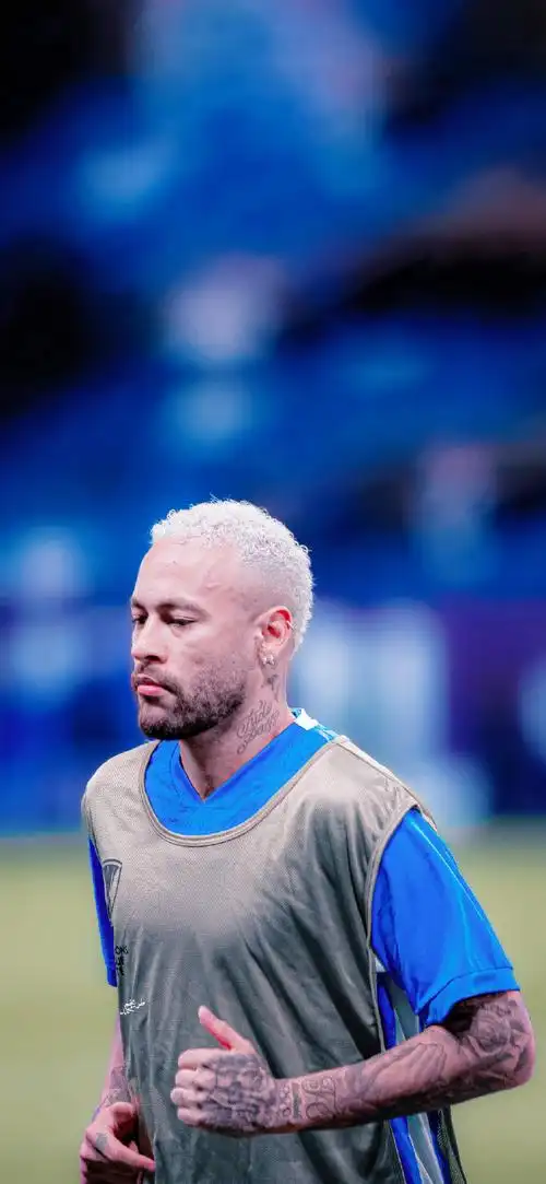 优势与不足 优势与不足